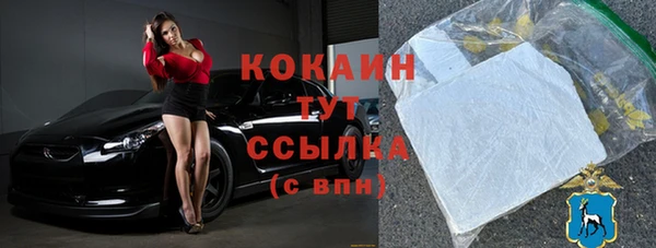 шишки Инта