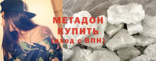 шишки Инта