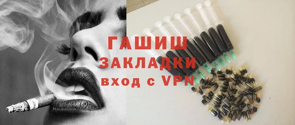 шишки Инта