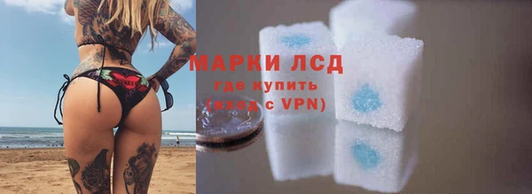 шишки Инта