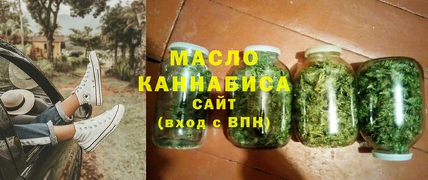 шишки Инта
