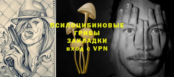 мет Каменногорск
